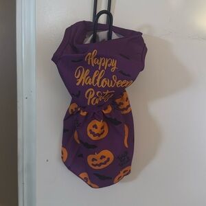 Halloween dog dress